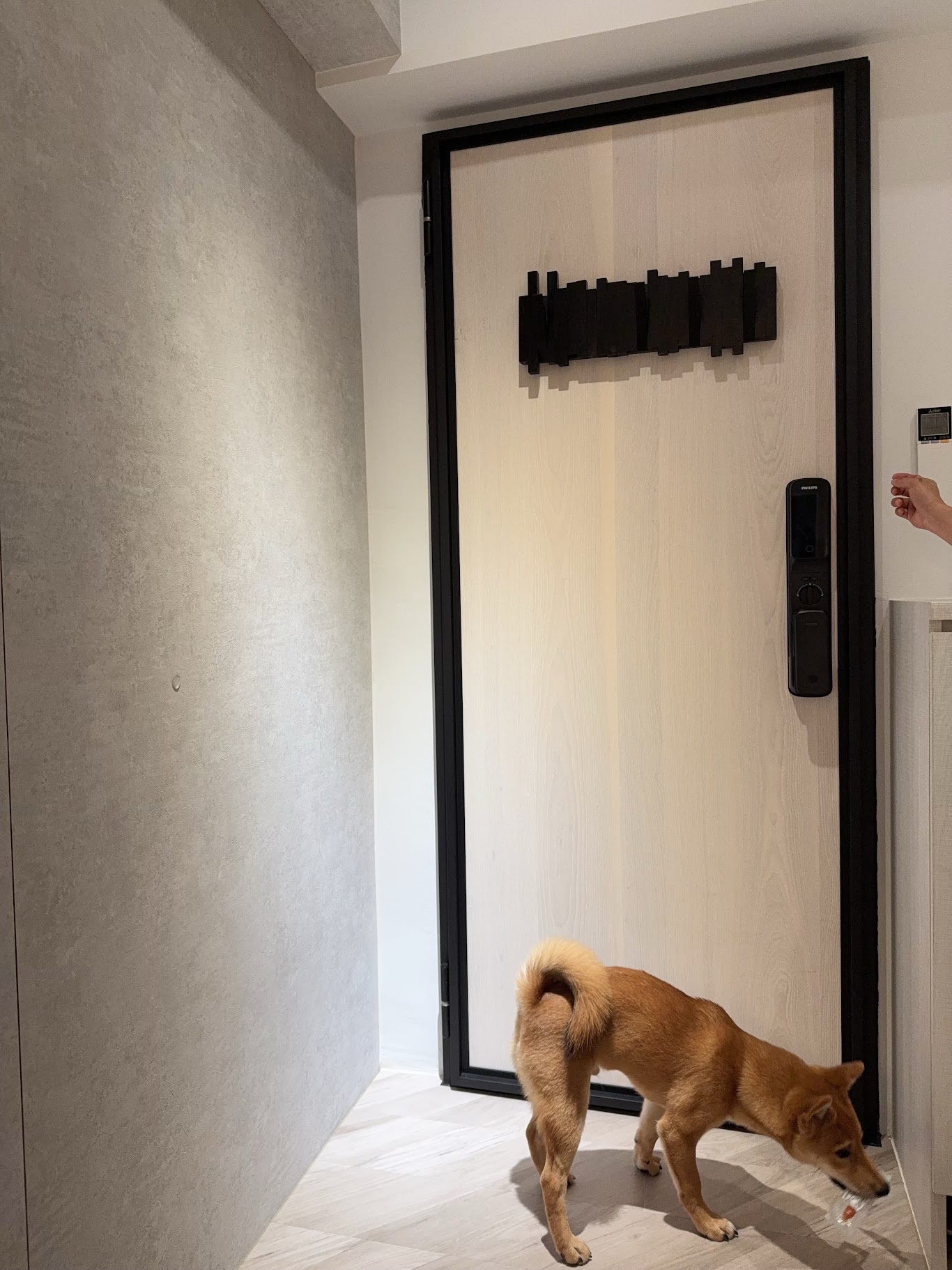 玄關大門 業主寵物隔音好評