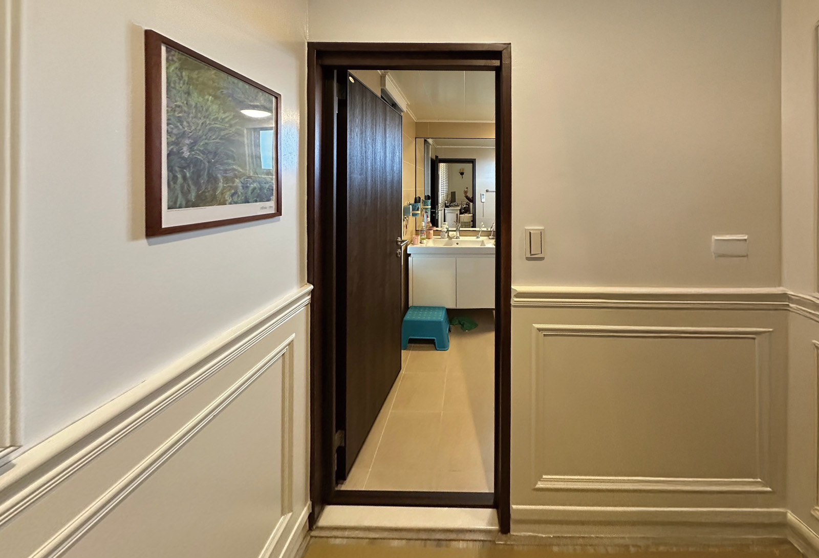 藍鯨浴廁隔音門 廁所隔音門 浴室門隔音