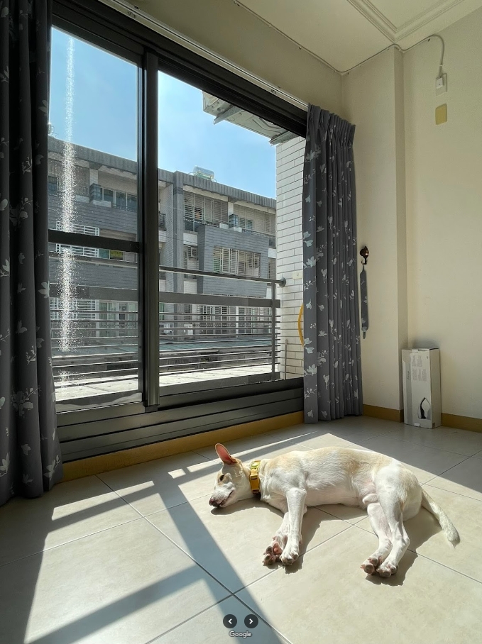 業主寵物隔音好評