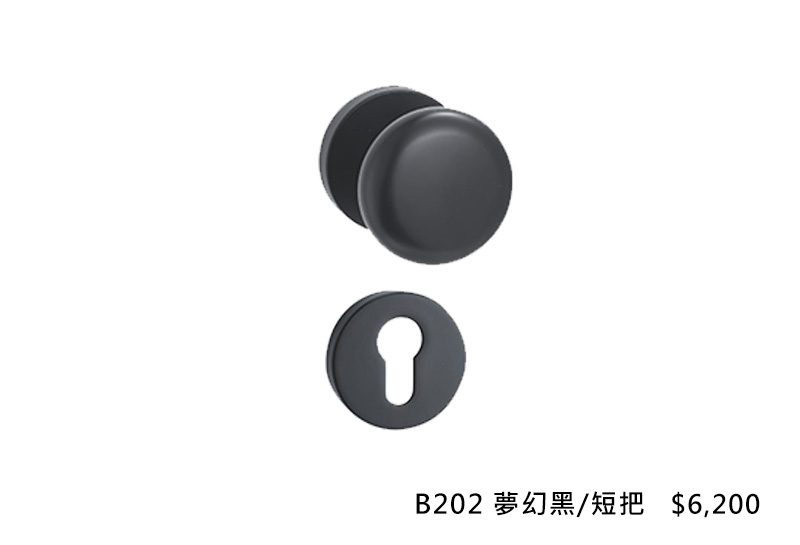 義大利進口ISEO水平把手 B202夢幻黑短把