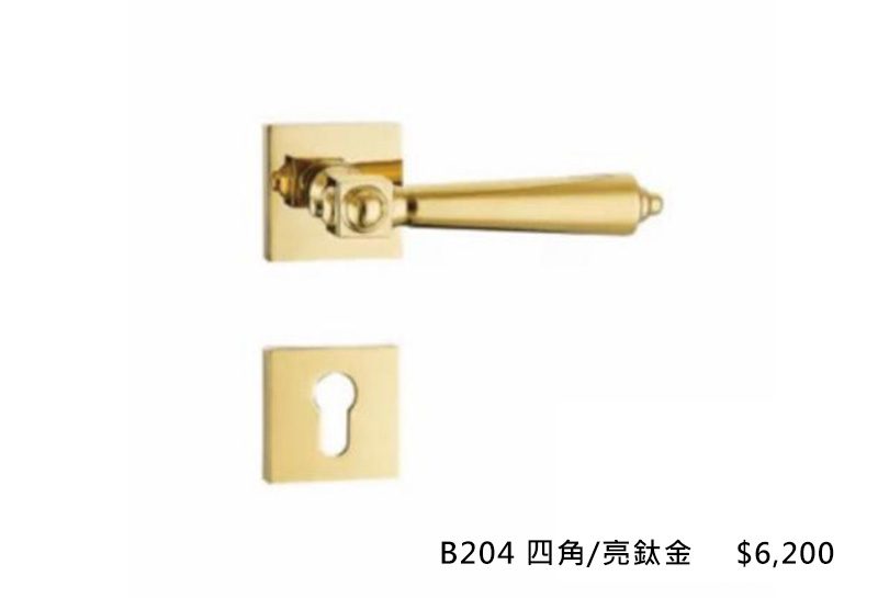 義大利進口ISEO水平把手 B204-四腳-亮鈦金