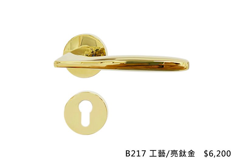 義大利進口ISEO水平把手 B217-工藝-亮鈦金