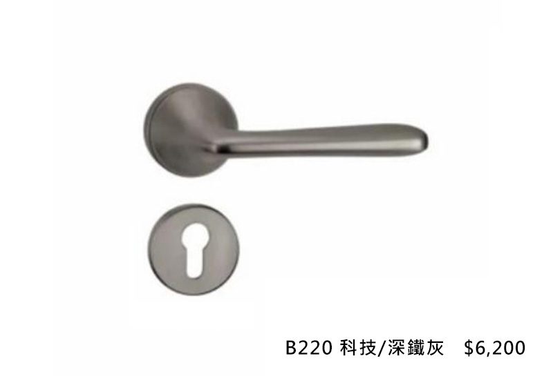 義大利進口ISEO水平把手 B220-科技-深鐵灰