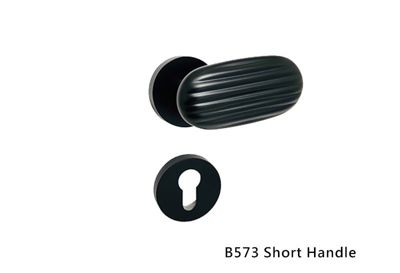 B573-Short Handle